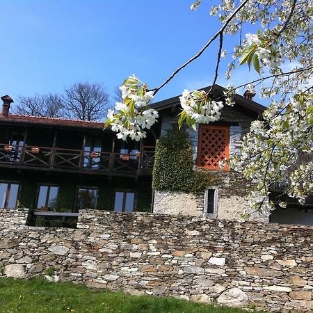 Il Ciliegio Selvatico Apartment Verbania Bagian luar foto