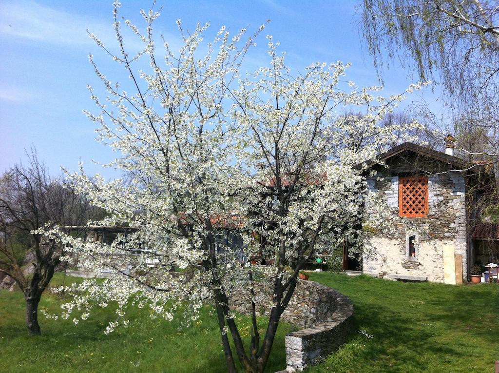 Il Ciliegio Selvatico Apartment Verbania Bagian luar foto