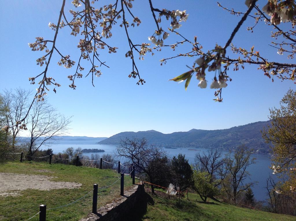 Il Ciliegio Selvatico Apartment Verbania Bagian luar foto
