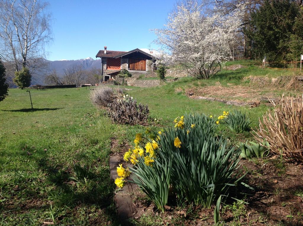 Il Ciliegio Selvatico Apartment Verbania Bagian luar foto