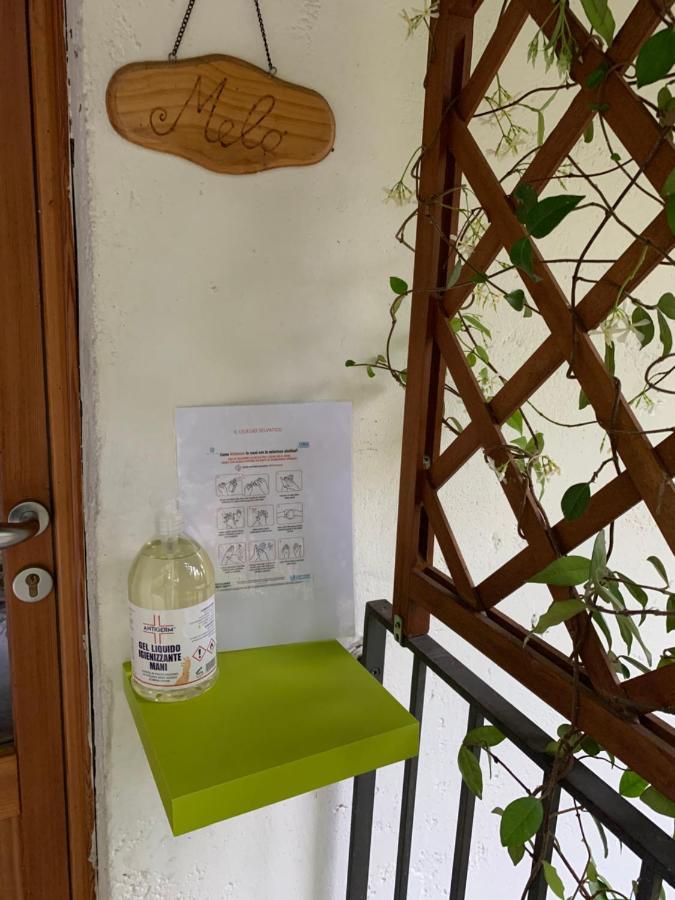 Il Ciliegio Selvatico Apartment Verbania Bagian luar foto