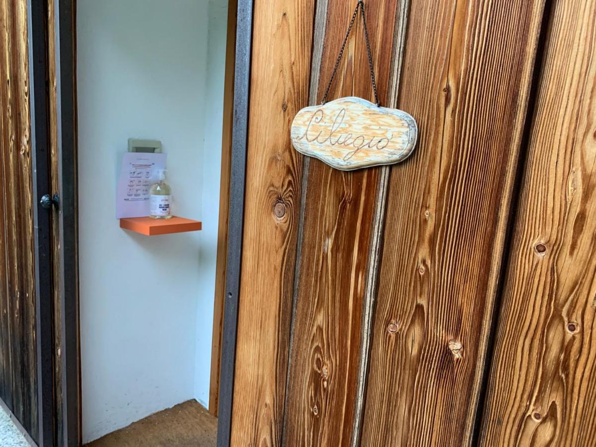 Il Ciliegio Selvatico Apartment Verbania Bagian luar foto